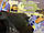 Ремонт Насос-Дозатора Orsta (100, 160, 250) Німеччина (Гарантія 36 місяців), фото 10