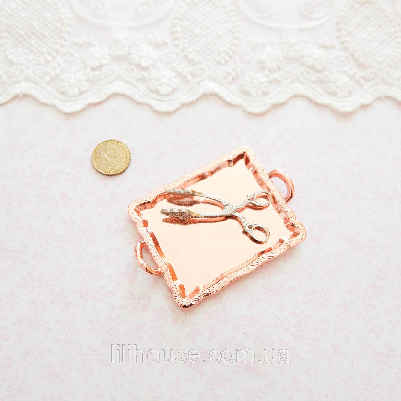 Мініатюрний піднос з щипцями 6.5*5 см Мідь, фото 1