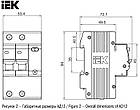 Диферен Автомат АД12 2р-63А 100мА, ІЕК, фото 3