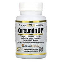 Комплекс с омега-3 и куркумином (CurcuminUP) California Gold Nutrition, 30 капсул