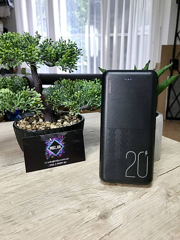 Power Bank Denmen DP10 20000mAh 2A/2USB Black Повербанк портативна батарея, фото 1