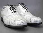 Білі літні туфлі шкіряні в сіточку чоловіче взуття великих розмірів Rosso Avangard BS Romano White Perf, фото 6