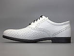 Білі літні туфлі шкіряні в сіточку чоловіче взуття великих розмірів Rosso Avangard BS Romano White Perf, фото 2