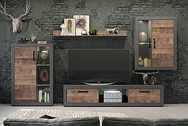 Меблева стінка для вітальні в сучасному стилі Jazz JZ Accord, колір матера / дуб колоніальний