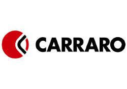 129405 Шестерня Carraro