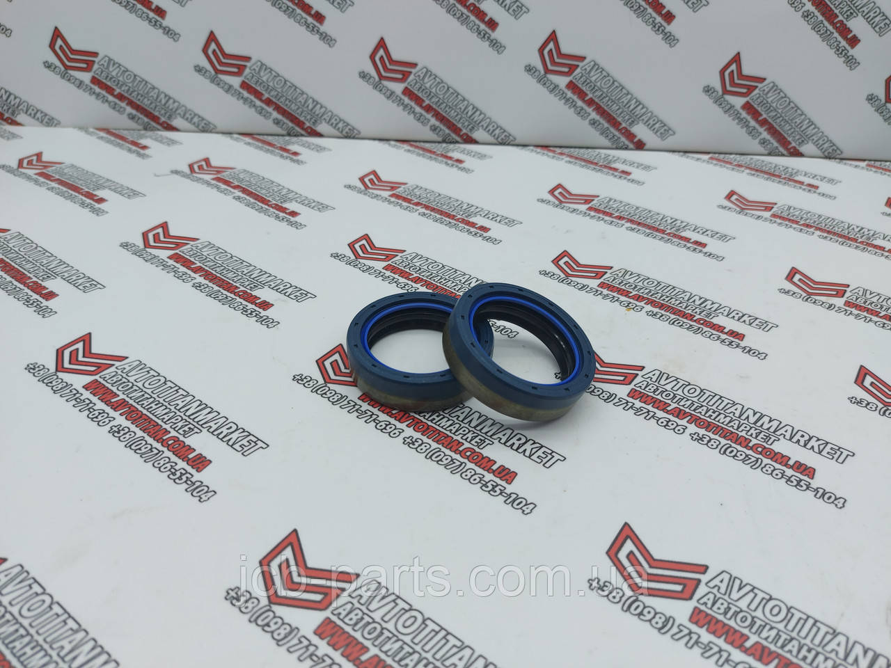 49214 Набір сальників Carraro