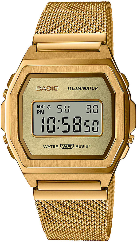 Годинник CASIO A1000MG-9EF