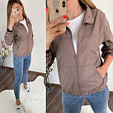 Жіноча вітровка модна норма та батал новинка, фото 3