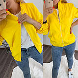 Жіноча вітровка модна норма та батал новинка, фото 4