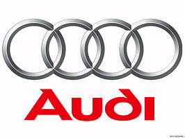Килимки в салон автомобіля для Audi
