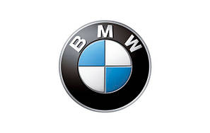 Килимки в салон автомобіля для BMW