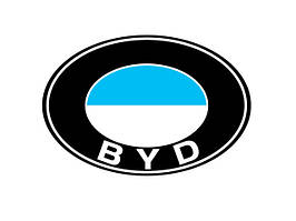 Килимки в салон автомобіля для BYD