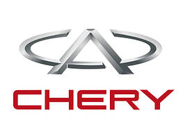 Килимки в багажник автомобіля для CHERY