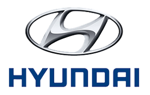 Килимки в багажник автомобіля для HYUNDAI
