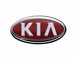 Килимки в багажник автомобіля для KIA