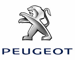 Килимки в багажник автомобіля для PEUGEOT