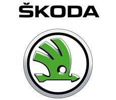 Килимки в багажник автомобіля для SKODA