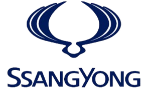 Килимки в багажник автомобіля для Ssang Yong