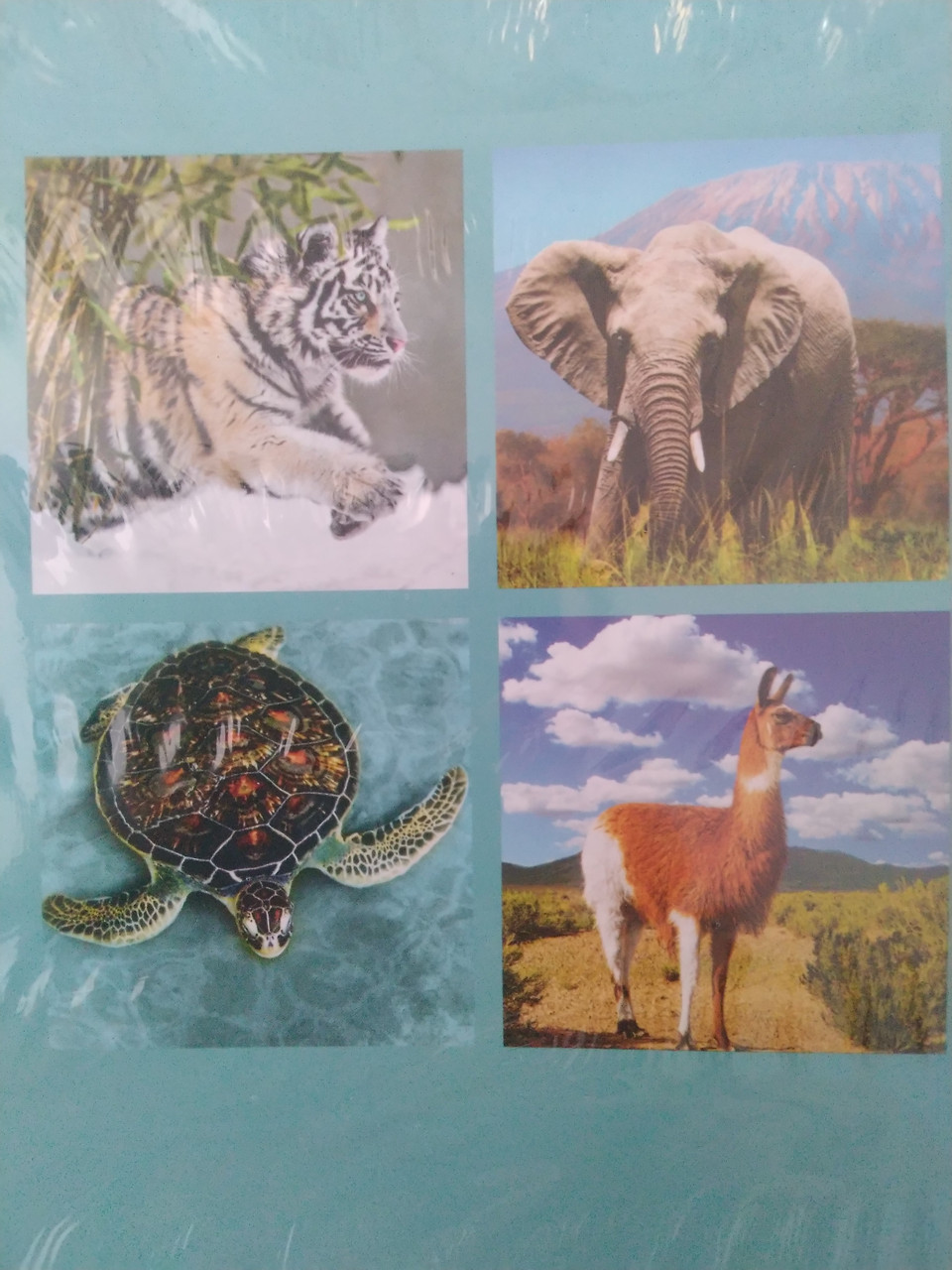 Зошит учнівський, 24 аркуші, лінія, тв.обкладинка