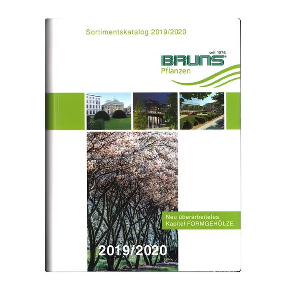 Каталог розсадника Bruns / Брунс 2019 / 2020 Ціна