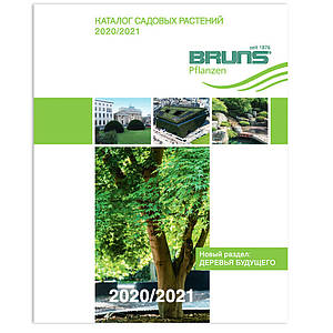 Каталог розсадника Bruns / Брунс 2020 / 2021