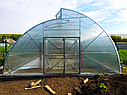 Аркова теплиця мітлайдера 5х8 стандарт (8 мм), фото 2