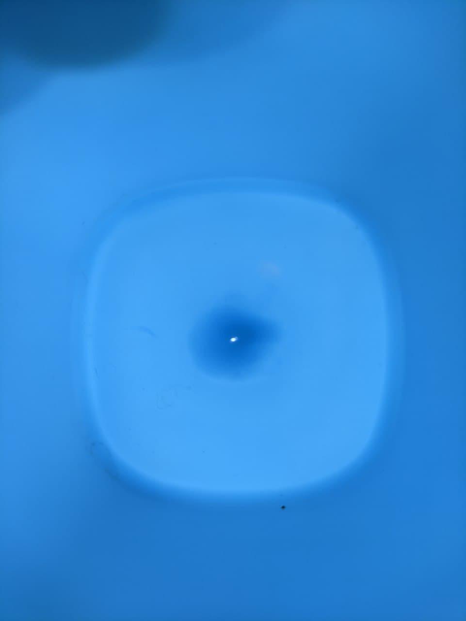 УЦІНКА! Посуд пластиковий набір для пікніка 48 приладів на 6 персон MHZ R86499 Blue, фото 1