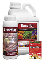 Бенефлор Beneflor