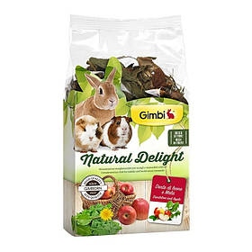 Ласощі для гризунів GimBi Natural Delight з кульбабом і яблуками 100 г