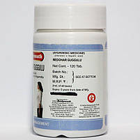 Медохар Гуггул Байд'янатх (Medohar Guggulu) Baidyanath 120 табл, фото 4