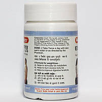 Медохар Гуггул Байд'янатх (Medohar Guggulu) Baidyanath 120 табл, фото 5