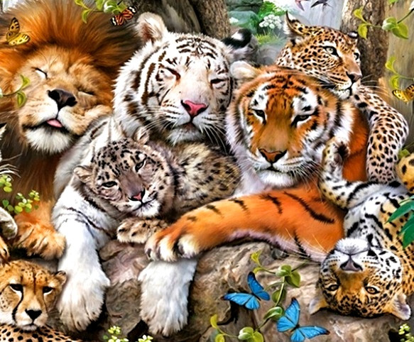 Діамантова мозаїка Тварини My-Art TN466 (40 x 50 см) на підрамнику, фото 1