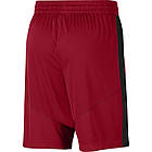 Шорти чоловічі баскетбольні Jordan JUMPMAN BBALL розмір L, XL (CK6837-687), фото 4