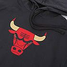 Худі баскетбольна чоловіча Chicago Bulls City Edition Logo (CN2534-060), фото 6
