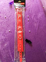 ОШЕЙНИК колір червоний без повідця