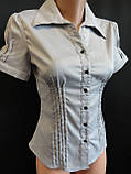 Жіночі блузи на ґудзиках із коротким рукавом, фото 2