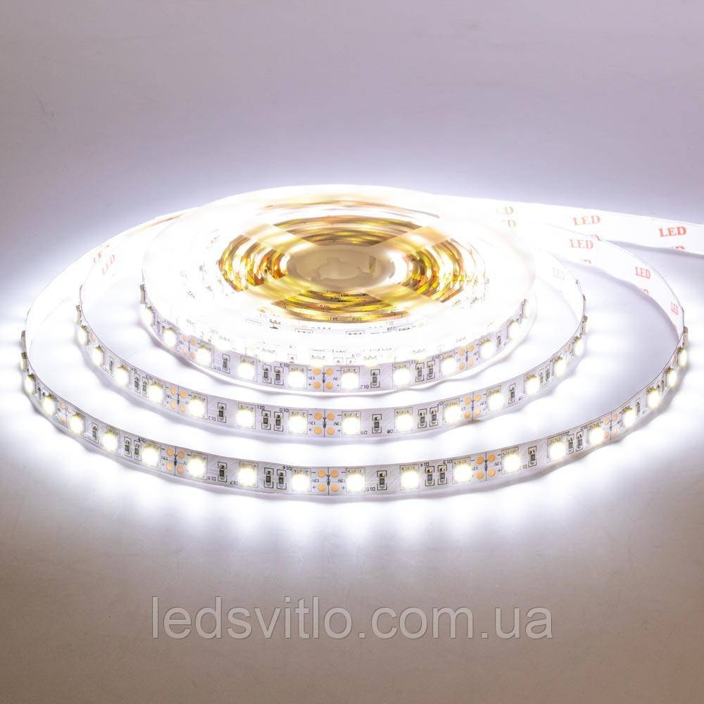 5 метрів, Світлодіодна LED стрічка AVT 12v 60smd 5630 IP20 Білий холодний колір світла