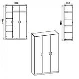 Тридверна шафа-15 Компаніт дсп дуб-сонома, фото 3