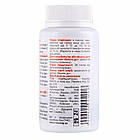 Зелений чай + Вітамін С, 60 капсул, Nosorog, фото 2