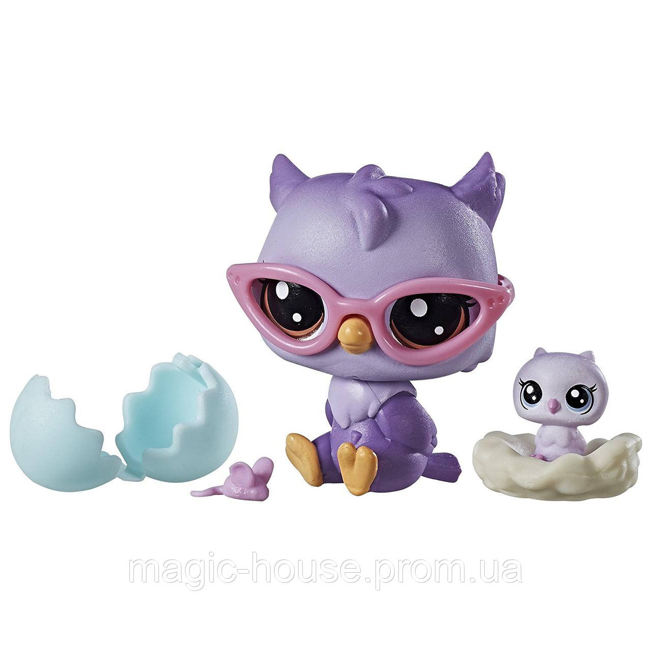 Littlest Pet Shop Домашні тварини Совята Оона і Нона Оулер Oona Owler Nona Owler