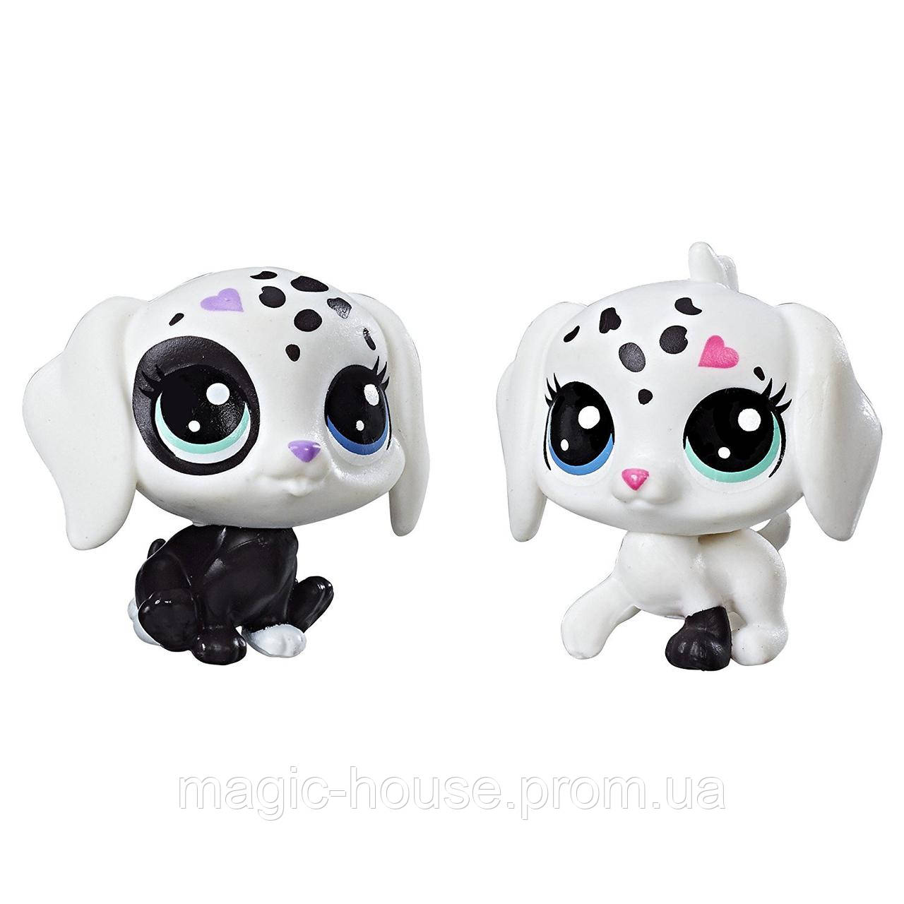 Littlest Pet Shop Собачки Маленький зоомагазин Black & White Puppy BFFs