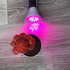 Оптимальна фітолампа 18Вт Е27 для рослин, повний спектр, фото 4