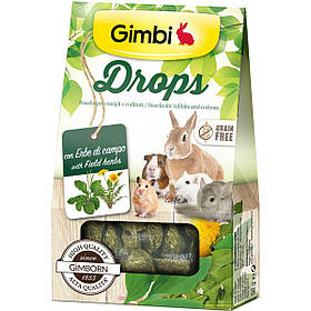 Ласощі дропси для гризунів GimBi Drops з травами 50г