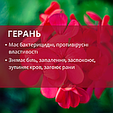 ПРЕСТО ГЕЛЬ - гель від геморою Ізраїль, оригінал [🎁АКЦІЯ: гель 3 мл в подарунок] Presto Gel 25г в наявності 210грн, фото 7