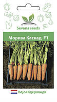 Семена моркови Каскад F1 1000 семян ( 2.58 грамм ) Bejon Zaden