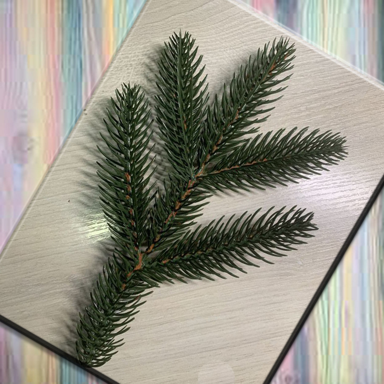 Ветки ели (елки) литые искусственные декоративные зеленые, пластик 1624 ...