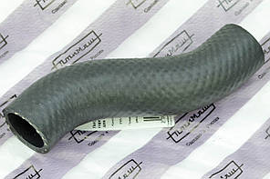 Патрубок радіатора 21213 нижній ПТІМАШ