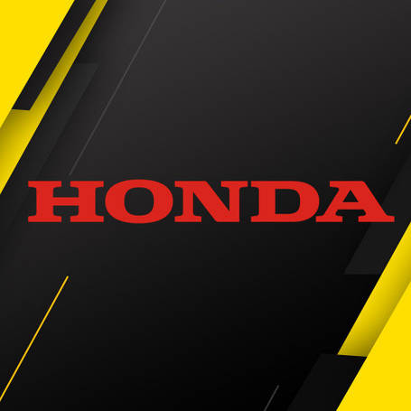 Мотокоси Honda і Hitachi