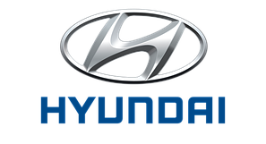 Накидки на панель приладів ХЮНДАЙ (HYUNDAI)