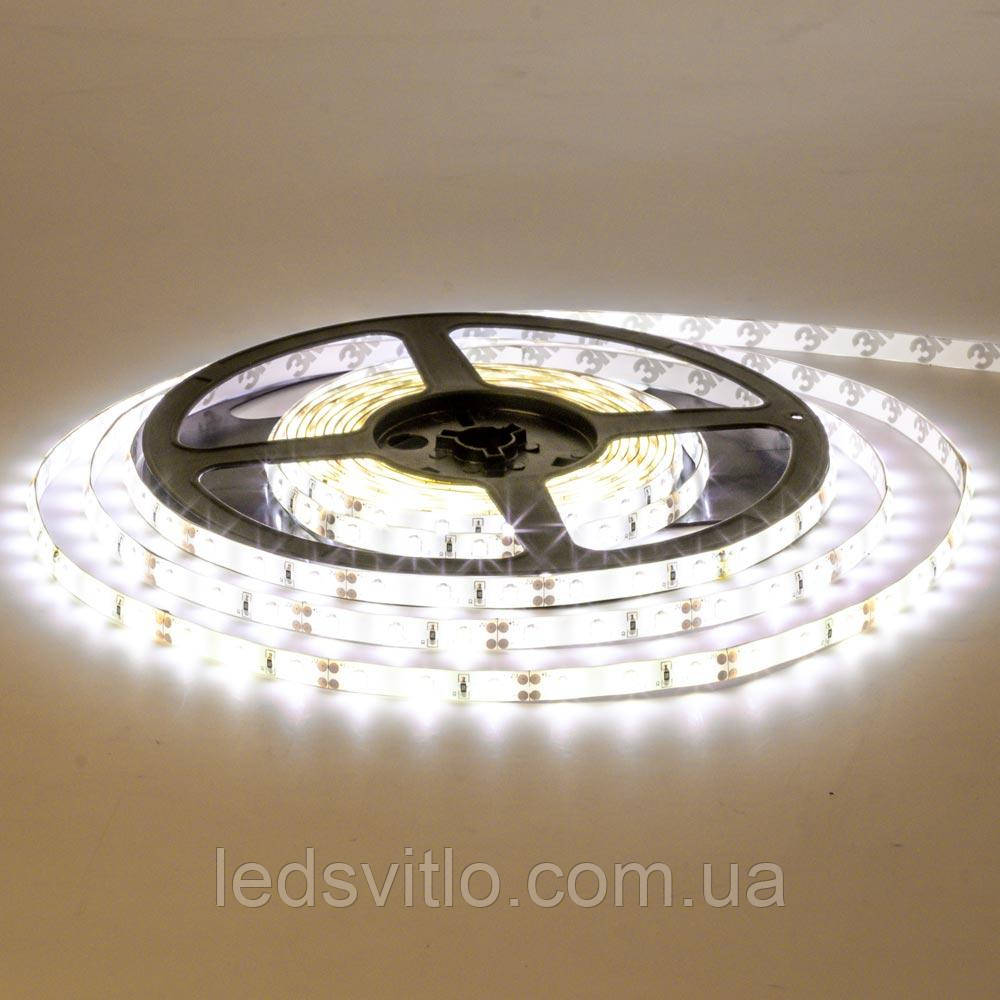 5 метрів, Світлодіодна LED стрічка AVT 12v 60smd 2835 IP65 Білий холодний колір світла, вологостійка